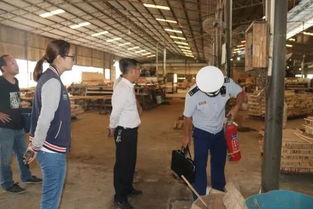 百色西林 多部門聯合深入鄉(xiāng)鎮(zhèn)木材加工廠開展消防安全檢查